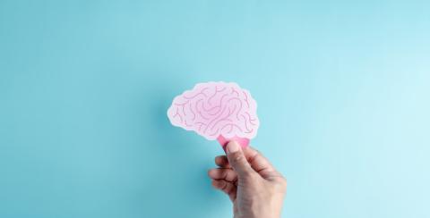 A hand holds a paper cut out of a human brain